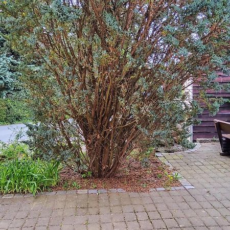 Amazing Apartment In Bad Schandau-Kleing, Kleingiesshubel Bagian luar foto