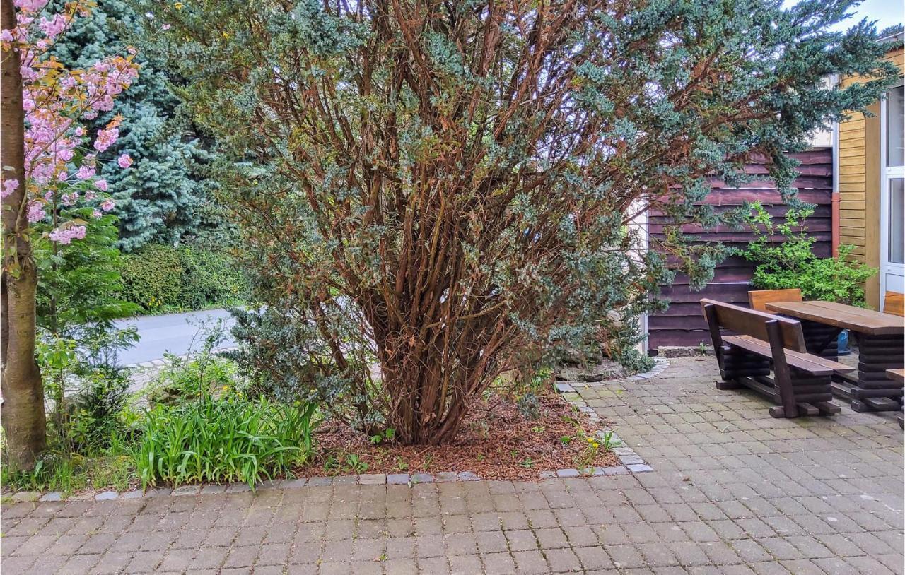 Amazing Apartment In Bad Schandau-Kleing, Kleingiesshubel Bagian luar foto